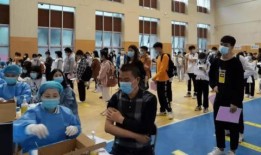 陨星爆料最新消息视频,揭秘最新神秘视频背后的惊人真相