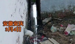 核污染排水最新爆料,真相与影响深度剖析