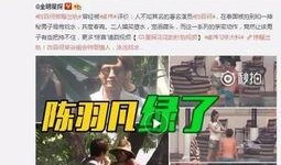 李平康最新爆料新闻视频,揭秘事件背后惊人真相