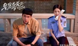 加油妈妈最新收视率爆料,最新数据揭秘热门剧集魅力