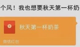 奶茶视频爆料大全最新下载,最新下载内容大揭秘
