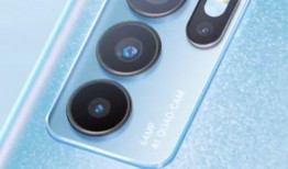 仙鱼最新爆料视频下载,揭秘神秘视频背后的惊人真相