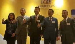 飞鹤最新爆料消息视频大全