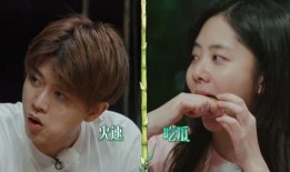 爆料吃瓜直播视频大全最新,最新吃瓜视频大全，带你领略直播界的风云变幻