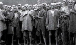 西安犹太人最新爆料,最新爆料揭示不为人知的往事