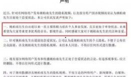 新瓜最新爆料内娱官网,内娱官网惊现独家猛料，揭秘娱乐圈幕后真相