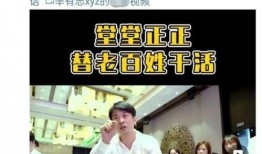 辛巴爆料违法吗最新消息,涉嫌违法事件引发关注