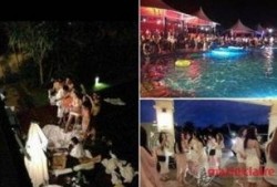 海天盛筵最新爆料,奢华阵容与神秘事件揭秘